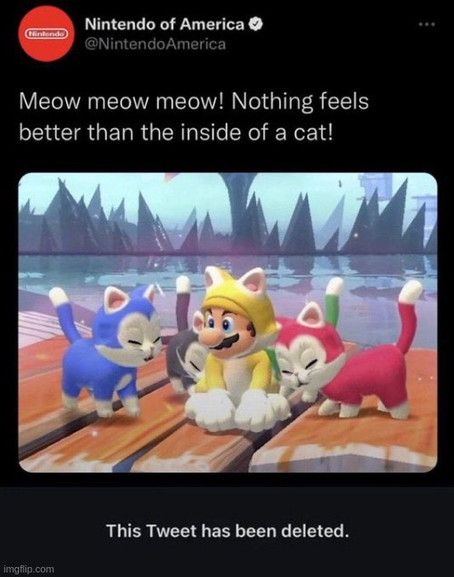 MS_memer_group meow Memes & GIFs - Imgflip