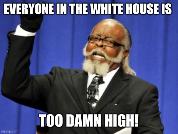 Way to go secret service! | EVERYONE IN THE WHITE HOUSE IS; TOO DAMN HIGH! | image tagged in too damn high,funny memes,politics,cocaine,joe biden,hunter biden | made w/ Imgflip meme maker