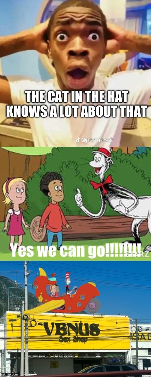 ?? | THE CAT IN THE HAT KNOWS A LOT ABOUT THAT | image tagged in shocked black guy | made w/ Imgflip meme maker