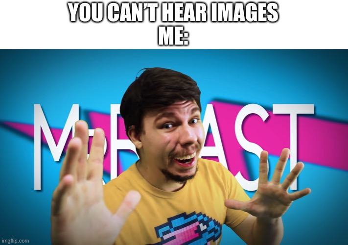 Fake MrBeast | YOU CAN’T HEAR IMAGES
ME: | image tagged in fake mrbeast | made w/ Imgflip meme maker