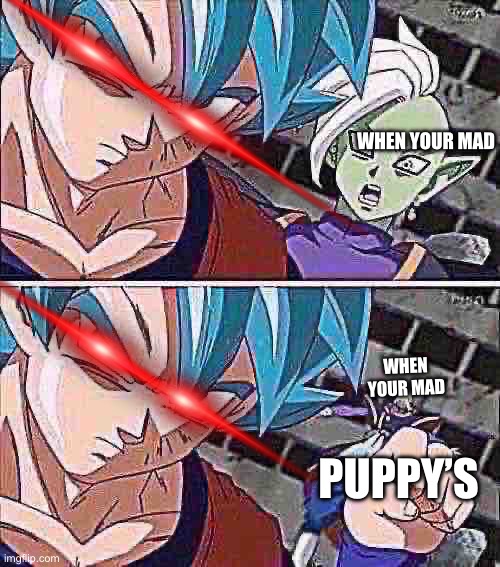 Goku hits zamasu | WHEN YOUR MAD; WHEN YOUR MAD; PUPPY’S | image tagged in goku hits zamasu | made w/ Imgflip meme maker
