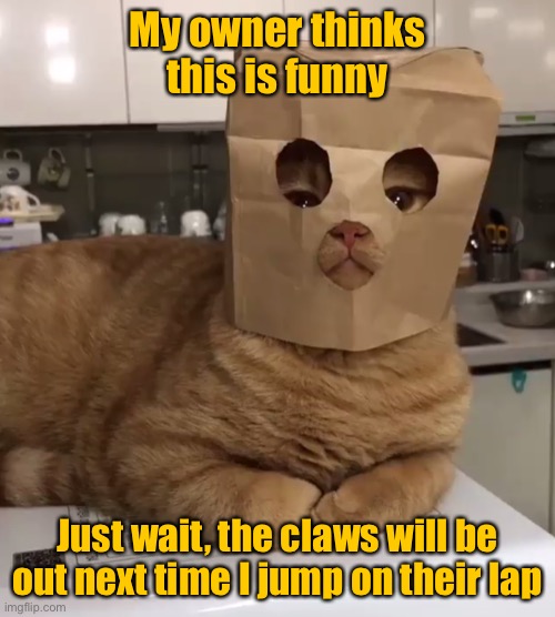 Owner thinks its funny | My owner thinks this is funny; Just wait, the claws will be out next time I jump on their lap | image tagged in cat burglar,not funny,claws out,when i jump,on lap,cats | made w/ Imgflip meme maker