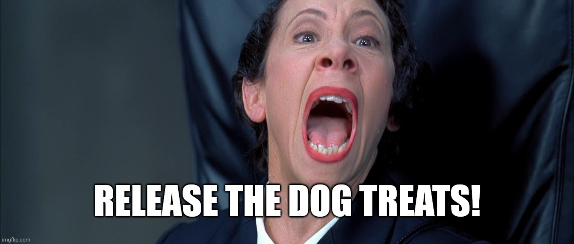 Frau Farbissina | RELEASE THE DOG TREATS! | image tagged in frau farbissina | made w/ Imgflip meme maker