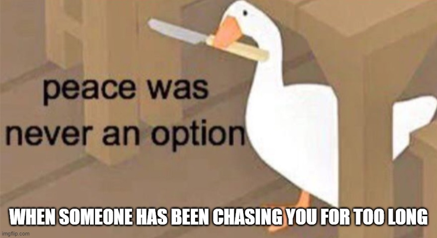 Wild goose chase | WHEN SOMEONE HAS BEEN CHASING YOU FOR TOO LONG | image tagged in untitled goose peace was never an option | made w/ Imgflip meme maker