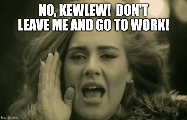 Adele Hello | NO, KEWLEW!  DON'T LEAVE ME AND GO TO WORK! | image tagged in adele hello | made w/ Imgflip meme maker