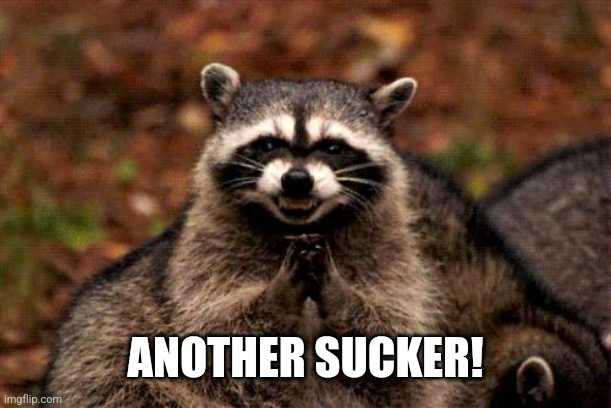 Evil Plotting Raccoon Meme | ANOTHER SUCKER! | image tagged in memes,evil plotting raccoon | made w/ Imgflip meme maker
