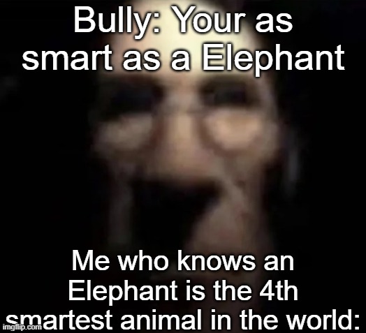 I'm not lying | Bully: Your as smart as a Elephant; Me who knows an Elephant is the 4th smartest animal in the world: | image tagged in tf2 medic stare,yeah this is big brain time | made w/ Imgflip meme maker