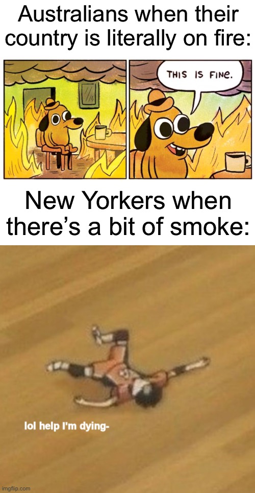 Australians when their country is literally on fire:; New Yorkers when there’s a bit of smoke: | image tagged in memes,blank transparent square,this is fine,lol help i'm dying- | made w/ Imgflip meme maker