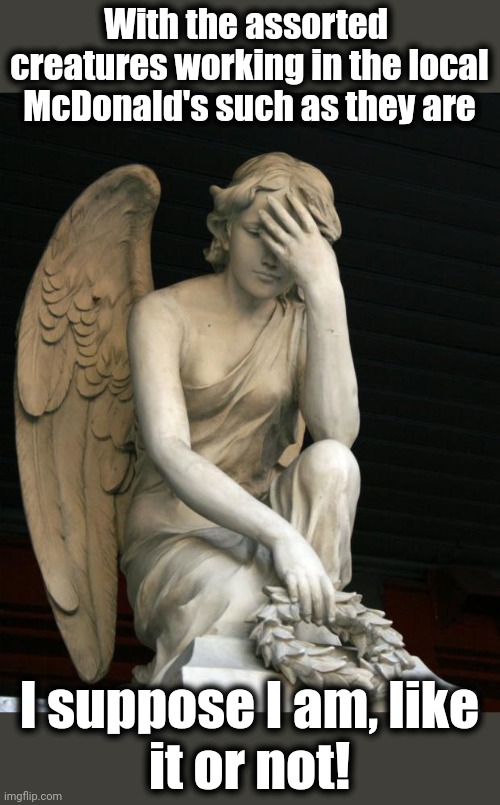 angel facepalm | With the assorted  creatures working in the local McDonald's such as they are I suppose I am, like
it or not! | image tagged in angel facepalm | made w/ Imgflip meme maker