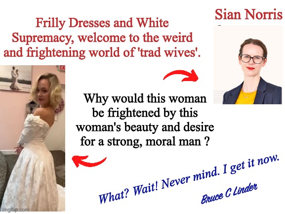 Fearsome Trad Wives | Sian Norris; Frilly Dresses and White Supremacy, welcome to the weird and frightening world of 'trad wives'. Why would this woman be frightened by this woman's beauty and desire for a strong, moral man ? What? Wait! Never mind. I get it now. Bruce C Linder | image tagged in sian norris,trad wives,frilly dresses,the guardian,weird,frightening | made w/ Imgflip meme maker