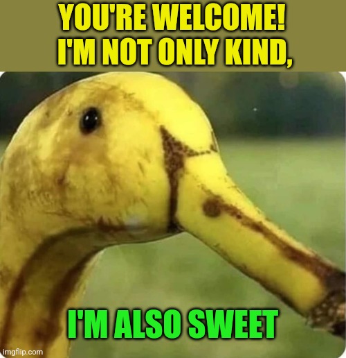 YOU'RE WELCOME!  I'M NOT ONLY KIND, I'M ALSO SWEET | made w/ Imgflip meme maker