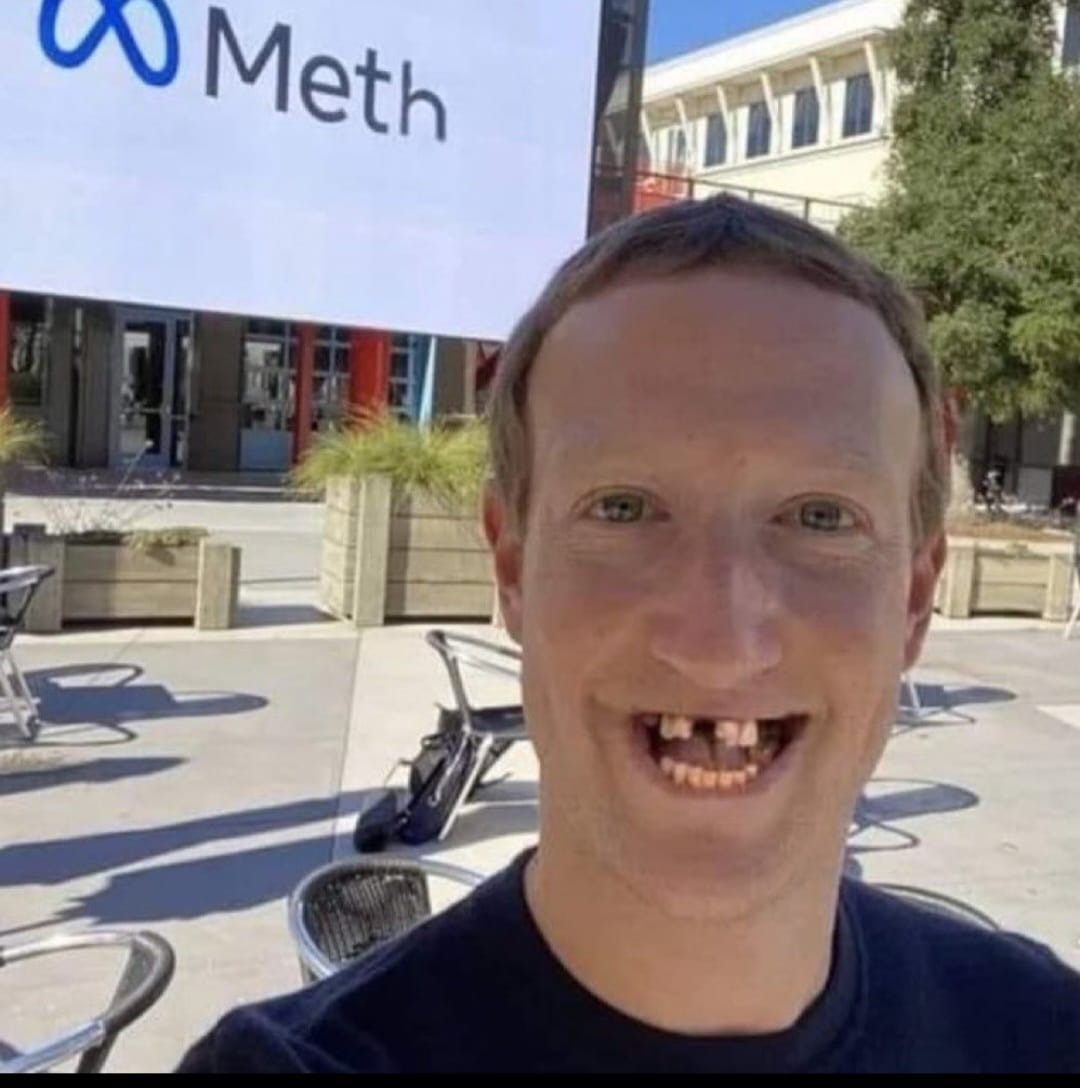 Meet the CEO of Metha | image tagged in meth head,methhead,metahead,methed up,mark zuckerberg blank sign,melts your mind not in your mouth | made w/ Imgflip meme maker
