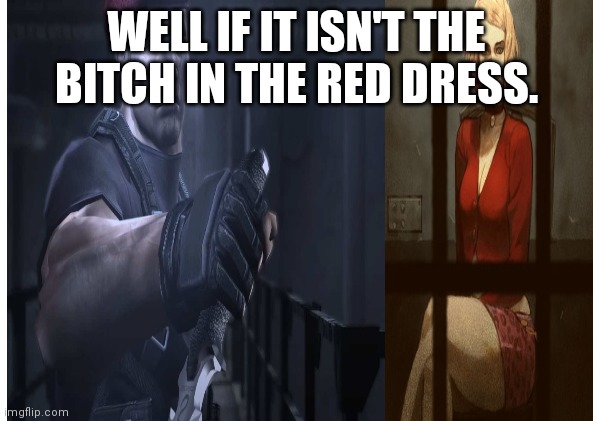 Wrong bitch krauser | WELL IF IT ISN'T THE BITCH IN THE RED DRESS. | image tagged in gaming | made w/ Imgflip meme maker