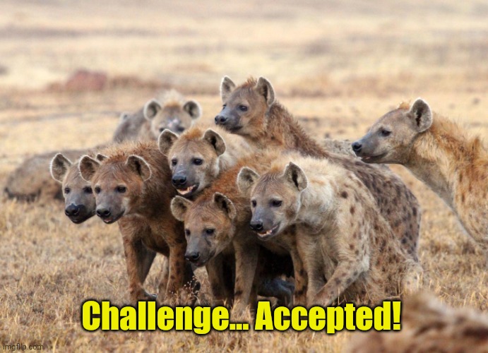 Hungry Hyenas | Challenge... Accepted! | image tagged in hungry hyenas | made w/ Imgflip meme maker