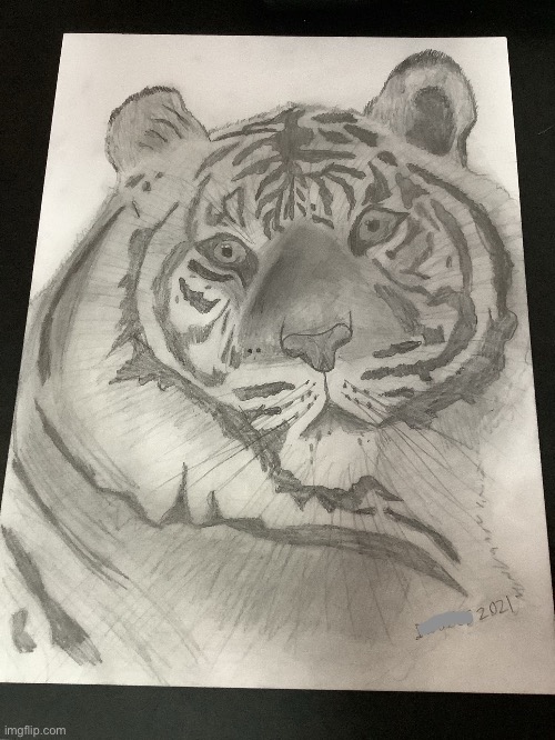 Tiger Drawing from 2021 | image tagged in drawing,tiger,tigers | made w/ Imgflip meme maker