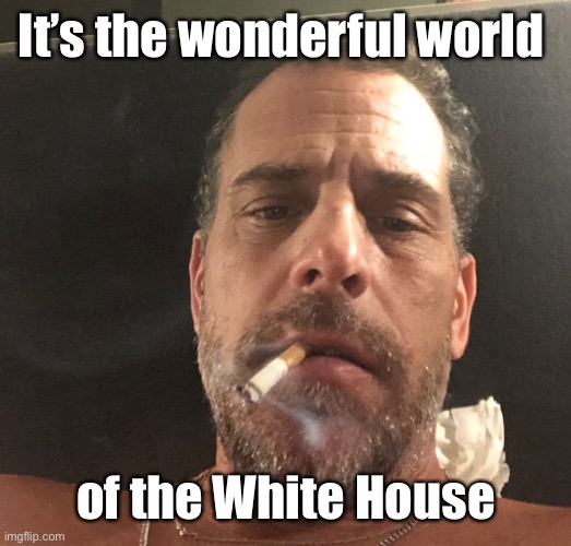 Hunter Biden | It’s the wonderful world of the White House | image tagged in hunter biden | made w/ Imgflip meme maker