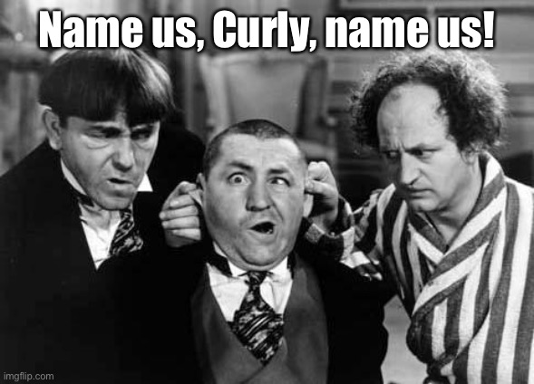 Three Stooges | Name us, Curly, name us! | image tagged in three stooges | made w/ Imgflip meme maker