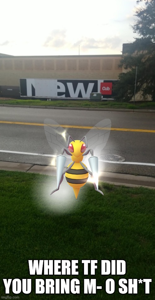 Wtf | WHERE TF DID YOU BRING M- O SH*T | image tagged in beedrill | made w/ Imgflip meme maker