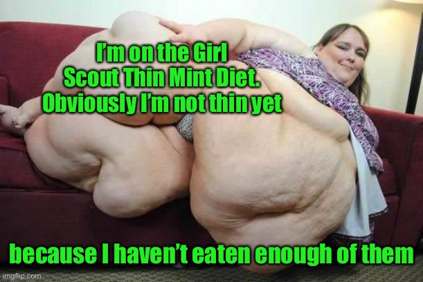 The Thin Mint diet report | I’m on the Girl Scout Thin Mint Diet. Obviously I’m not thin yet; because I haven’t eaten enough of them | image tagged in fat girl,girl scout,thin mint | made w/ Imgflip meme maker