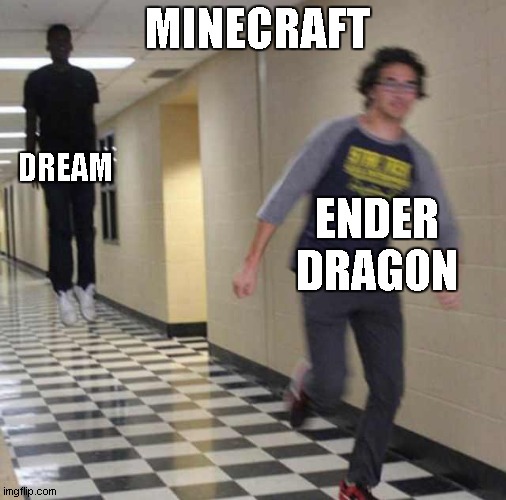 minecraft meme | MINECRAFT; DREAM; ENDER DRAGON | image tagged in floating boy chasing running boy | made w/ Imgflip meme maker