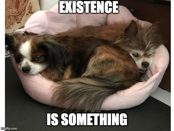 Existence is something | EXISTENCE; IS SOMETHING | image tagged in dogs | made w/ Imgflip meme maker