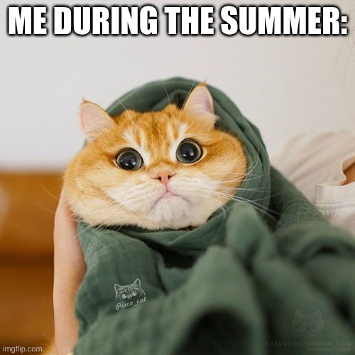 I'm bored in da house, and i'm in da house bored. | ME DURING THE SUMMER: | image tagged in memes,funny,relatable,fun,summer,bored | made w/ Imgflip meme maker
