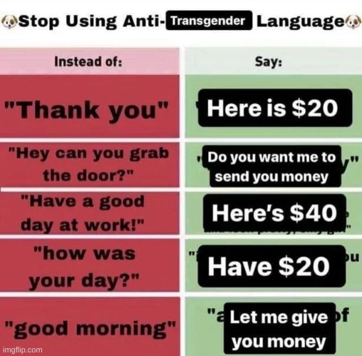 USE ANTI TRANSGENDER LANGUAGE RAHH!!! ??? | made w/ Imgflip meme maker