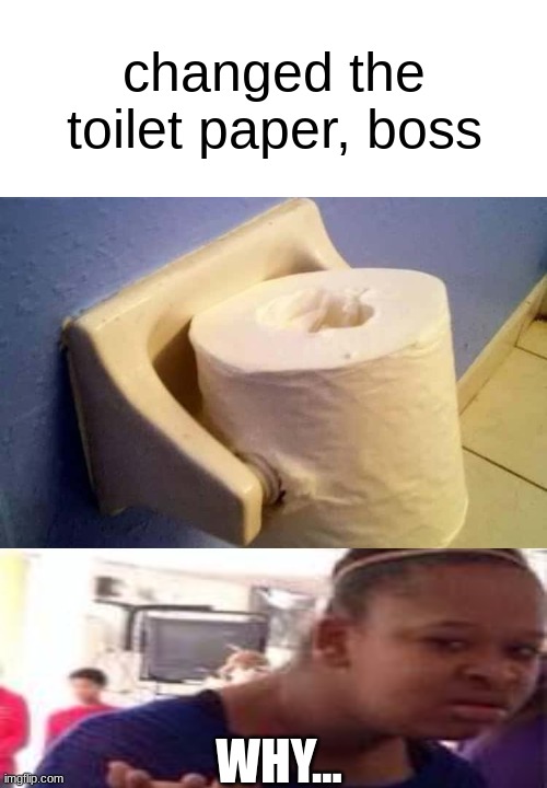 YOU HAD ONE JOB FOOL | changed the toilet paper, boss; WHY... | image tagged in you had one job just the one | made w/ Imgflip meme maker