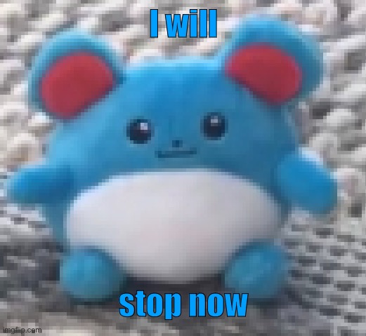 Marill 6 | I will; stop now | image tagged in marill 6 | made w/ Imgflip meme maker
