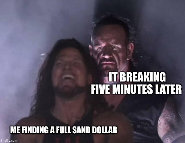 Upsetting | IT BREAKING FIVE MINUTES LATER; ME FINDING A FULL SAND DOLLAR | image tagged in the undertaker | made w/ Imgflip meme maker