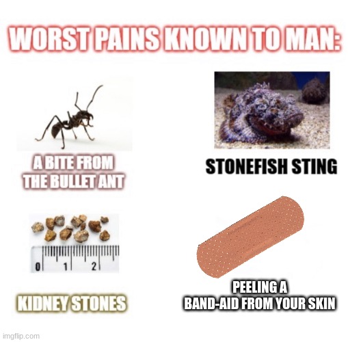Ahhhhh.......... dear god, the pain | PEELING A BAND-AID FROM YOUR SKIN | image tagged in worst pains known to man | made w/ Imgflip meme maker