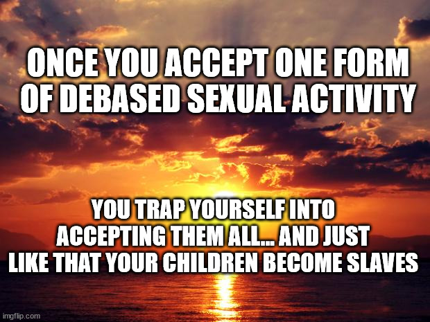 Sunset | ONCE YOU ACCEPT ONE FORM OF DEBASED SEXUAL ACTIVITY; YOU TRAP YOURSELF INTO ACCEPTING THEM ALL... AND JUST LIKE THAT YOUR CHILDREN BECOME SLAVES | image tagged in sunset | made w/ Imgflip meme maker