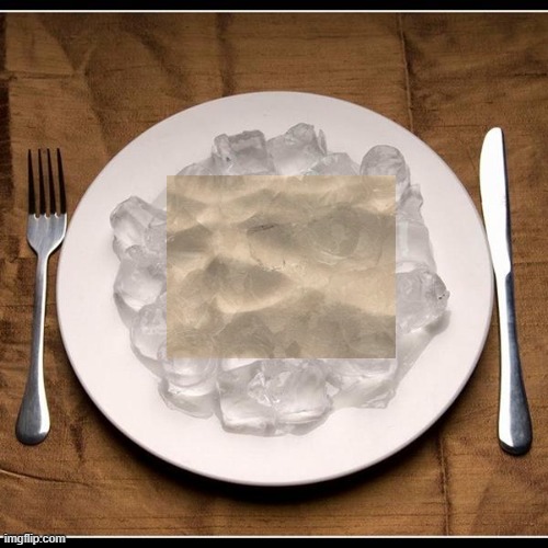 Plate of Ice Cubes | image tagged in plate of ice cubes | made w/ Imgflip meme maker