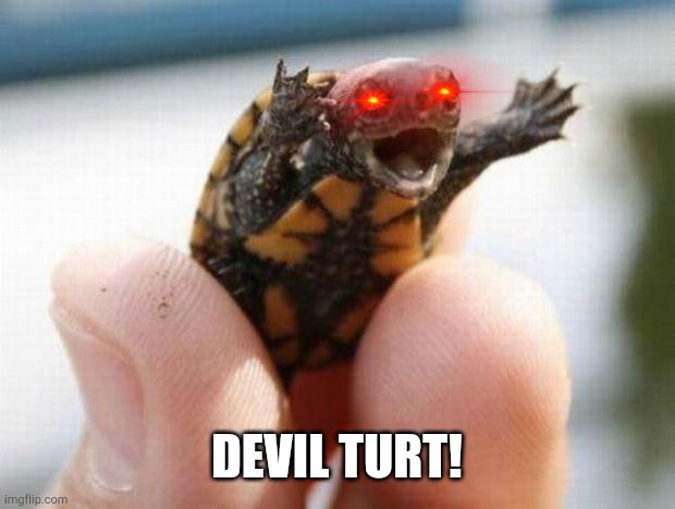 happy baby turtle | DEVIL TURT! | image tagged in happy baby turtle | made w/ Imgflip meme maker