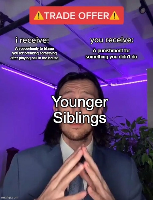 Younger Siblings | An opportunity to blame you for breaking something after playing ball in the house; A punishment for something you didn't do; Younger Siblings | image tagged in trade offer | made w/ Imgflip meme maker