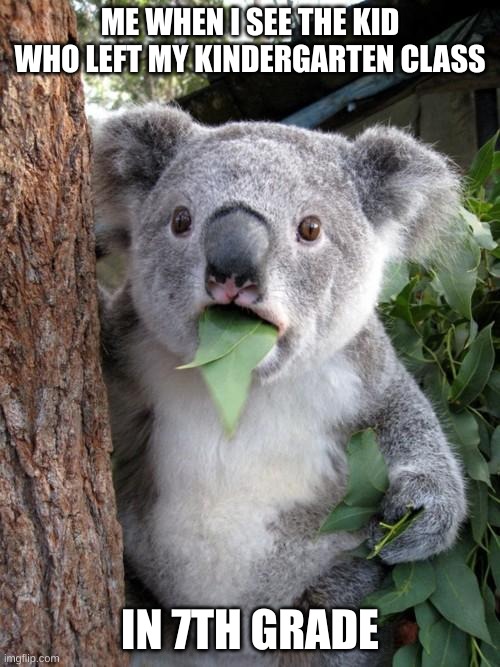 Surprised Koala Meme | ME WHEN I SEE THE KID WHO LEFT MY KINDERGARTEN CLASS; IN 7TH GRADE | image tagged in memes,surprised koala | made w/ Imgflip meme maker