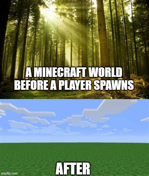 How bad can i possibly be.... in a game | A MINECRAFT WORLD BEFORE A PLAYER SPAWNS; AFTER | image tagged in sunlit forest | made w/ Imgflip meme maker