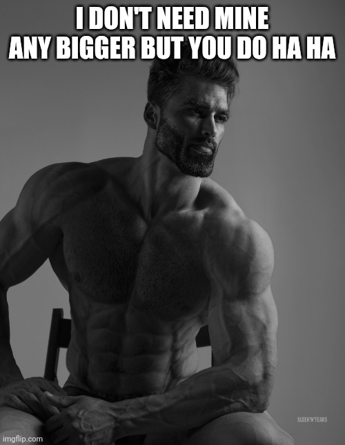 Giga Chad | I DON'T NEED MINE ANY BIGGER BUT YOU DO HA HA | image tagged in giga chad | made w/ Imgflip meme maker