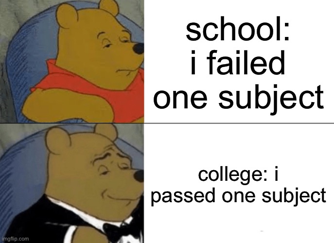 Tuxedo Winnie The Pooh Meme | school: i failed one subject; college: i passed one subject | image tagged in memes,tuxedo winnie the pooh | made w/ Imgflip meme maker