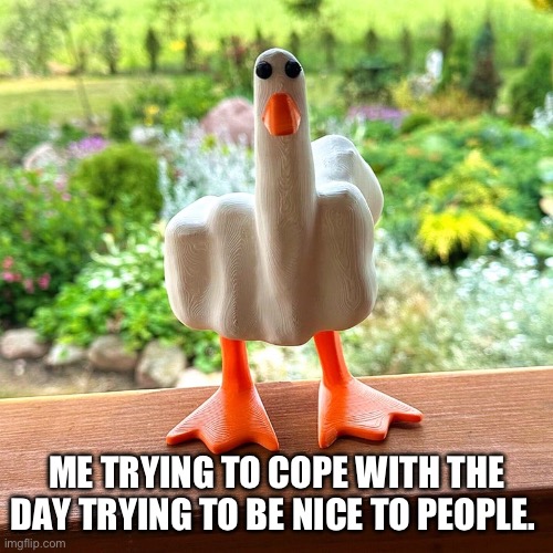 Every day | ME TRYING TO COPE WITH THE DAY TRYING TO BE NICE TO PEOPLE. | image tagged in the daily struggle,deep thoughts,why is it so hard,screw everyone | made w/ Imgflip meme maker