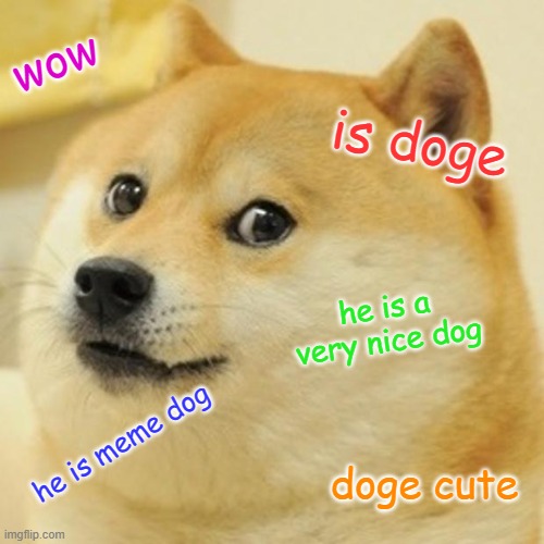 is doge | wow; is doge; he is a very nice dog; he is meme dog; doge cute | image tagged in memes,doge | made w/ Imgflip meme maker