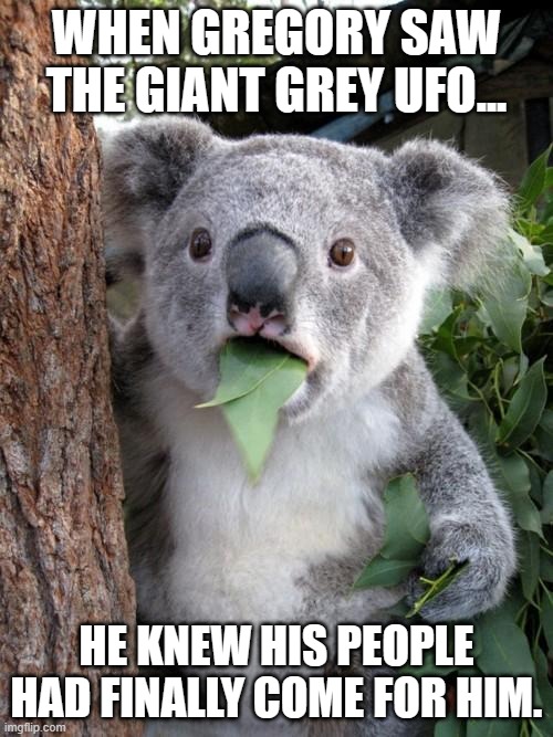 Unfortunately they were just there to pick up milk. | WHEN GREGORY SAW THE GIANT GREY UFO... HE KNEW HIS PEOPLE HAD FINALLY COME FOR HIM. | image tagged in memes,surprised koala,alien pickup,rescue maybe | made w/ Imgflip meme maker