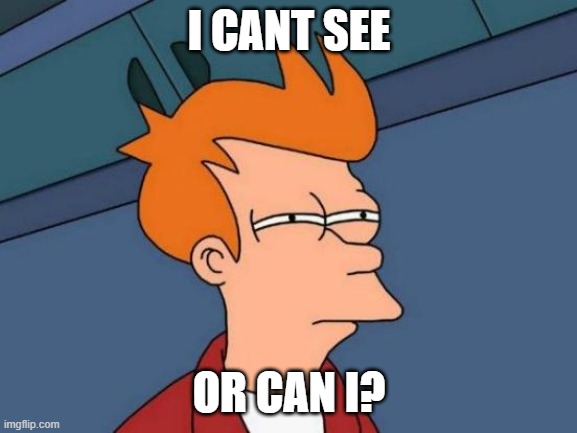 Futurama Fry | I CANT SEE; OR CAN I? | image tagged in memes,futurama fry | made w/ Imgflip meme maker