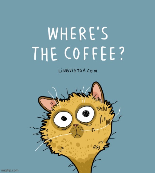 A Cat's Way Of Thinking | image tagged in memes,comics/cartoons,cats,yes,i'm awake but at what cost,coffee time | made w/ Imgflip meme maker