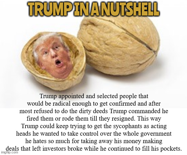 Trump in a nutshell | TRUMP IN A NUTSHELL; Trump appointed and selected people that would be radical enough to get confirmed and after most refused to do the dirty deeds Trump commanded he fired them or rode them till they resigned. This way Trump could keep trying to get the sycophants as acting heads he wanted to take control over the whole government he hates so much for taking away his money making deals that left investors broke while he continued to fill his pockets. | image tagged in donald trump,3rd anyichrist,insserection,coup,criminal,maga | made w/ Imgflip meme maker