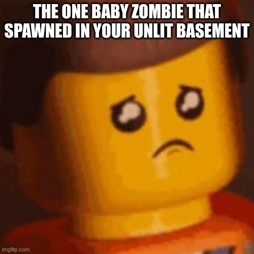 He so lonely | THE ONE BABY ZOMBIE THAT SPAWNED IN YOUR UNLIT BASEMENT | image tagged in sad emmet | made w/ Imgflip meme maker