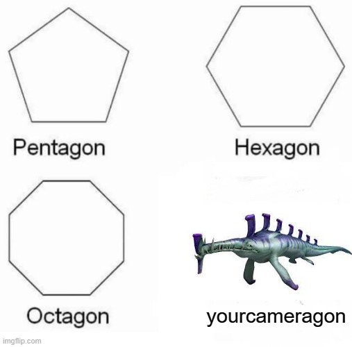 yourcameragon | yourcameragon | image tagged in memes,pentagon hexagon octogon | made w/ Imgflip meme maker