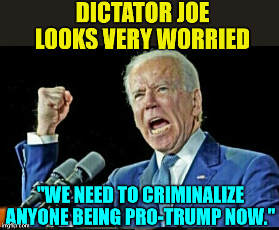 It's what fascists do... go after the supporters of their political rivals... | DICTATOR JOE LOOKS VERY WORRIED; "WE NEED TO CRIMINALIZE ANYONE BEING PRO-TRUMP NOW." | image tagged in joe biden dictator | made w/ Imgflip meme maker