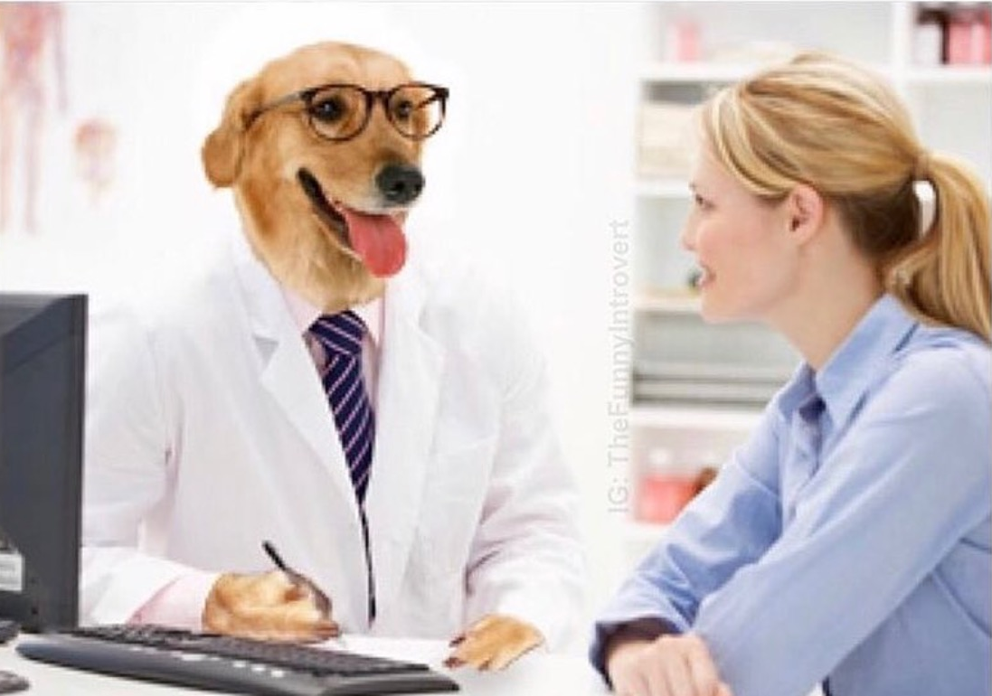 High Quality DOCTOR DOGGO & WOMAN Blank Meme Template
