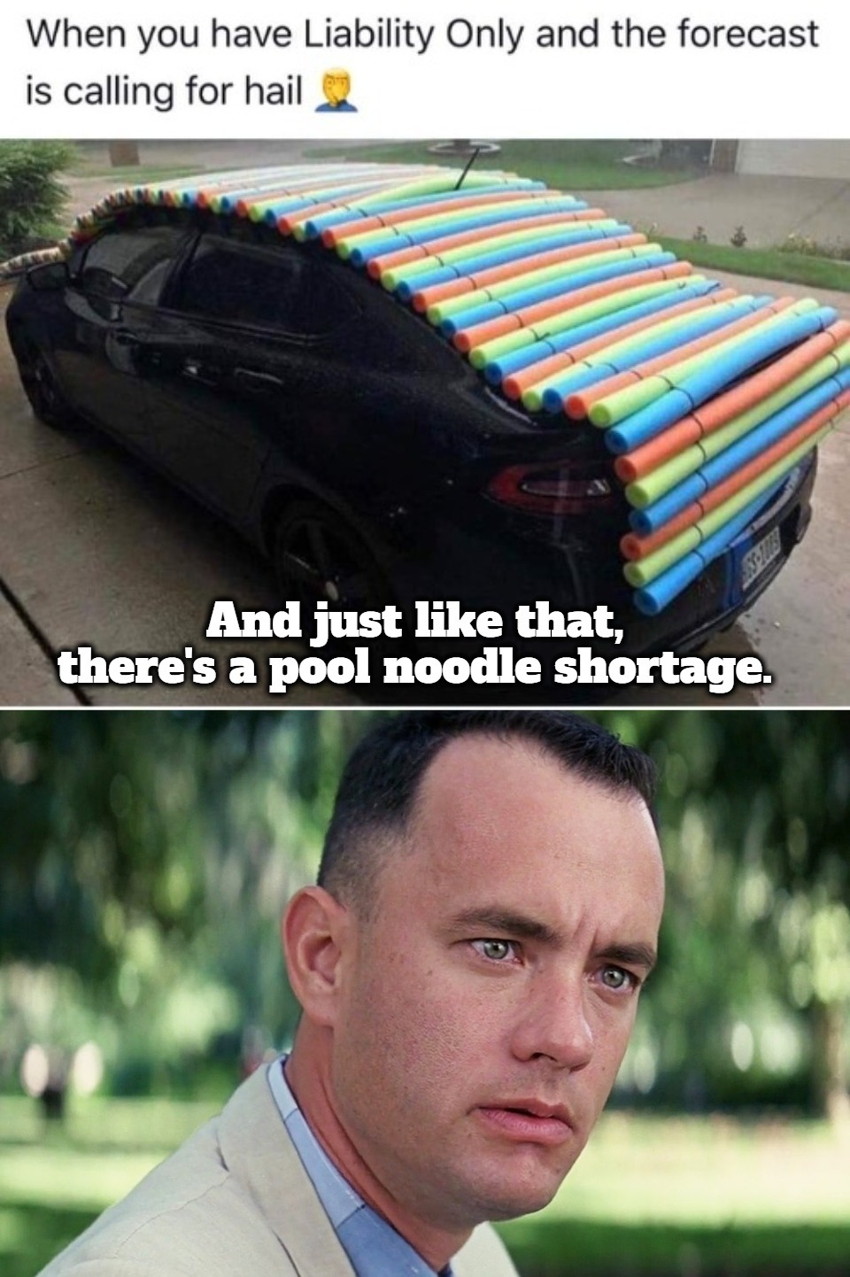 And just like that, there's a pool noodle shortage. | image tagged in pool noodles,hail,all hail the garlic,all hail breaks loose,to hail with that idea | made w/ Imgflip meme maker